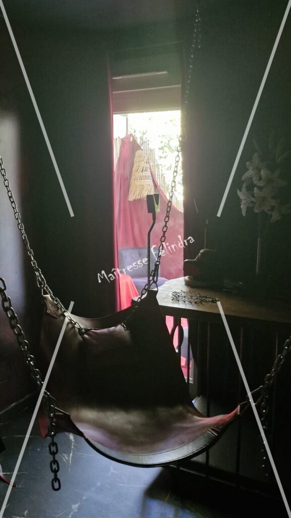 photo 1787405332345